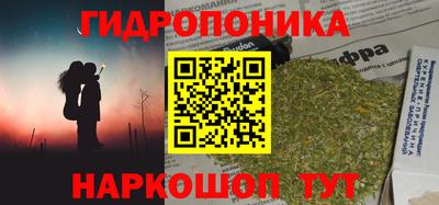 ГАЛЛЮЦИНОГЕННЫЕ ГРИБЫ Можга
