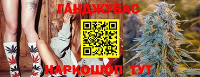 шишки Апшеронск