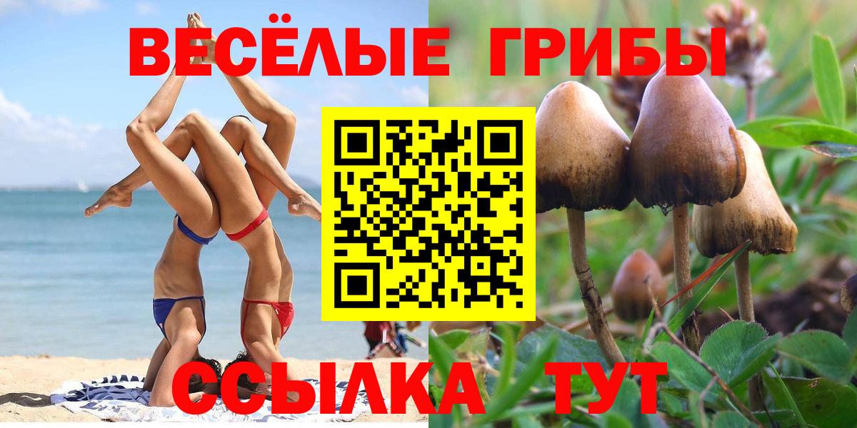Псилоцибиновые грибы прущие грибы Каменск-Шахтинский