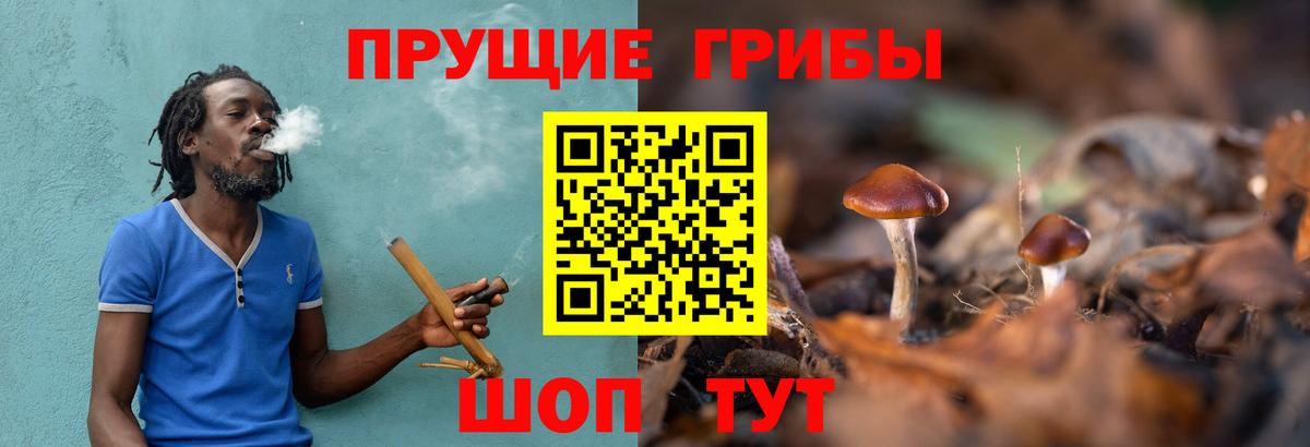 Псилоцибиновые грибы прущие грибы  Вход с VPN  Каменск-Шахтинский 
